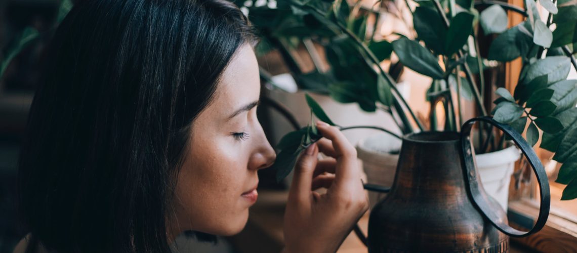 pexels-photo-3540195